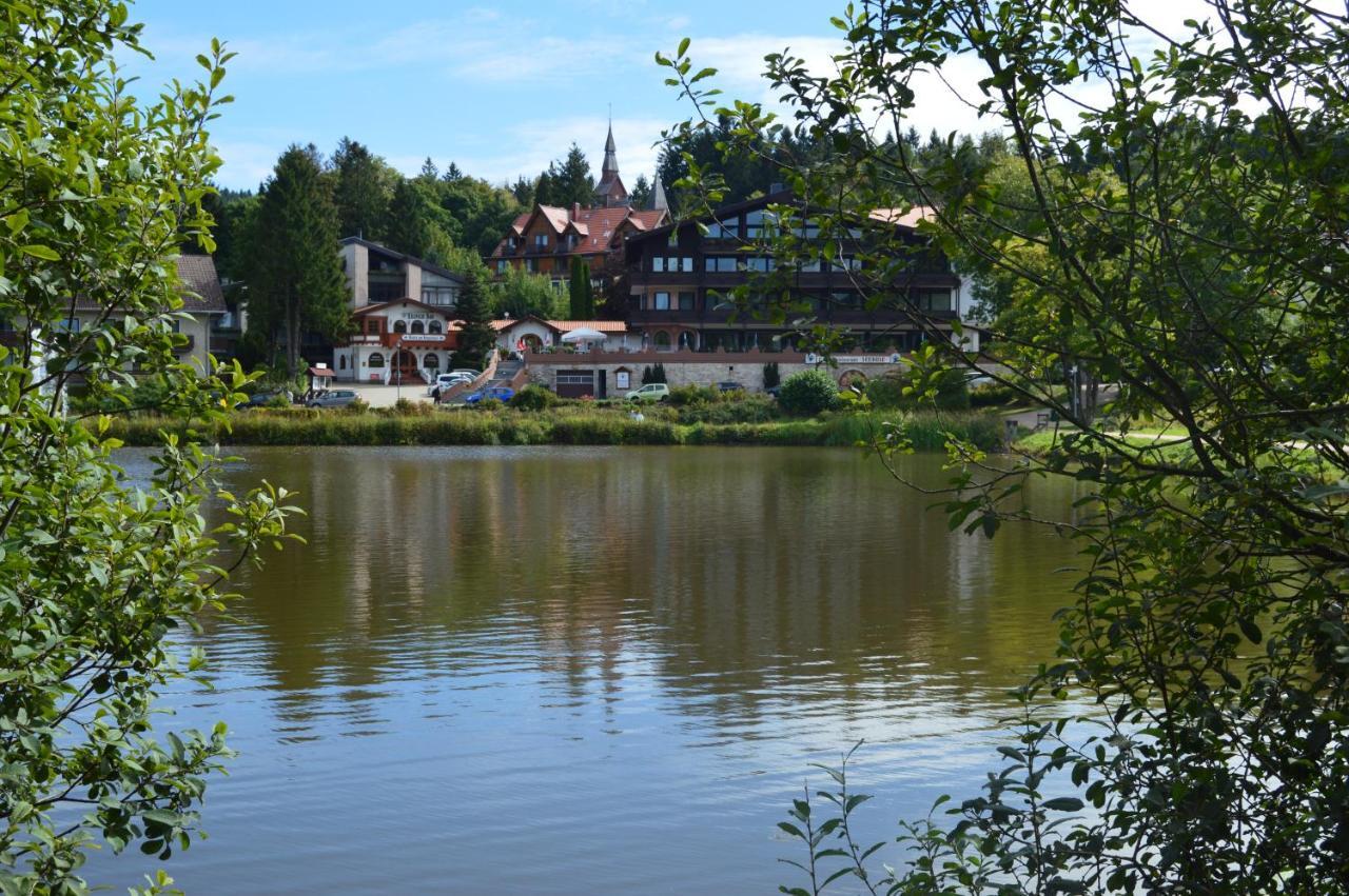 Ferienwohnung Hahnenklee Goslar Exterior photo